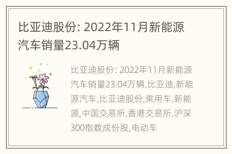 比亚迪股份：2022年11月新能源汽车销量23.04万辆