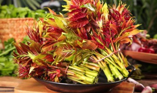 新鲜香椿怎么保存 新鲜香椿储存技巧