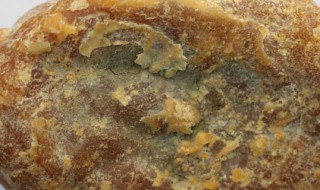 新鲜鸡宝怎么保存 正确存放鸡宝的方法