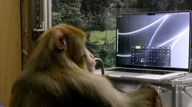 马斯克旗下脑机接口公司 Neuralink 最新演示：猴子用意念打字