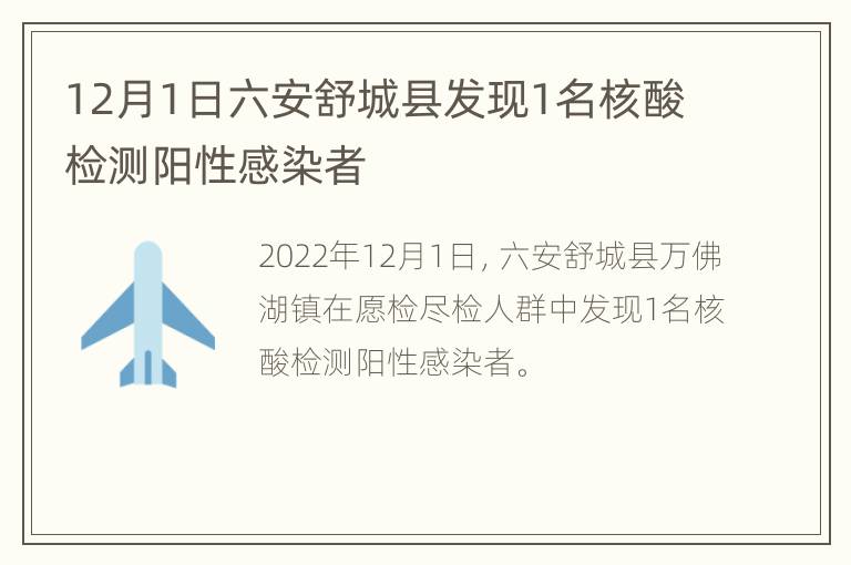12月1日六安舒城县发现1名核酸检测阳性感染者