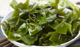 喝白酒可以吃海带吗 白酒可以和海带一起食用吗