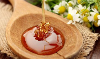 喝蜂蜜可以吃葱吗 喝蜂蜜能不能吃葱呢