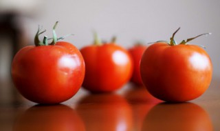 喝红酒吃西红柿可以吗 红酒和西红柿可以一起食用吗