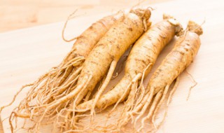 东北新鲜人参怎么保存 东北新鲜人参的保存保鲜方法介绍