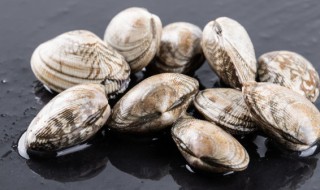 爆炒花甲的做法 川味 怎样做川味爆炒花甲