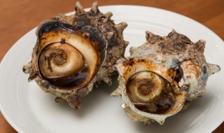 爆炒海螺 爆炒海螺的做法