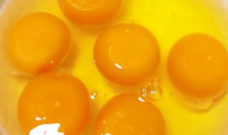 新鲜鸡黄怎么保存 新鲜鸡黄如何保存