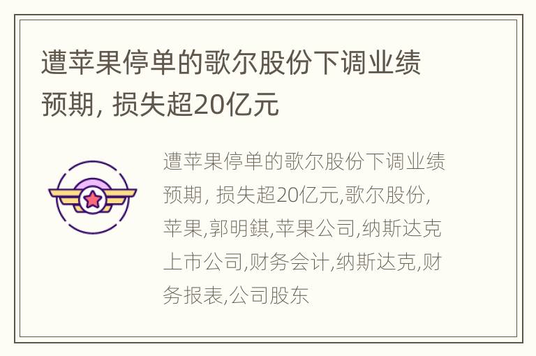 遭苹果停单的歌尔股份下调业绩预期，损失超20亿元