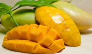 喝奶可以吃芒果吗 喝奶能不能吃芒果呢