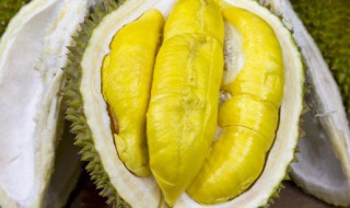 吃榴莲可以喝可乐吗 吃榴莲能不能喝可乐呢