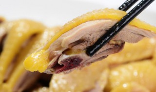 爆炒小公鸡的正宗做法步骤 正宗家常爆炒小公鸡的做法