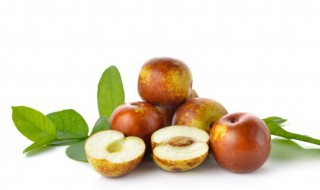 新鲜枣怎么保存 新鲜枣的保存方法分享