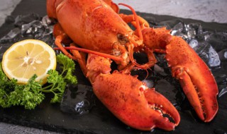 新鲜的龙虾怎么保存 新鲜龙虾的保存方法介绍