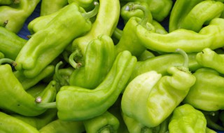 爆炒青椒的做法 爆炒青椒怎么做