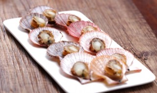 扇贝新鲜的怎么保存 扇贝新鲜的如何保存