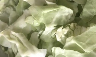 干包菜叶怎样晒干制作 干包菜叶如何晒干制作