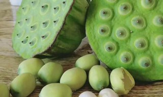 新鲜莲蓬怎么保存3个月 新鲜莲蓬如何保存3个月以上