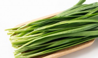 吃韭菜可以喝酸奶吗 吃韭菜能不能喝酸奶呢