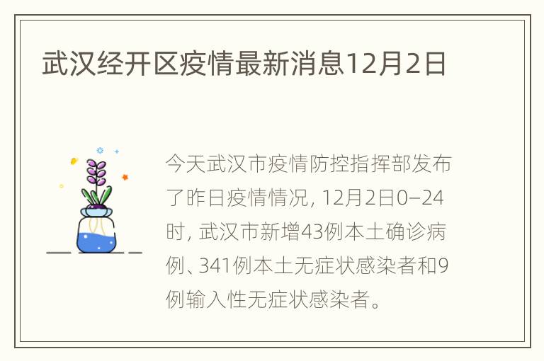 武汉经开区疫情最新消息12月2日