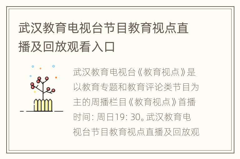 武汉教育电视台节目教育视点直播及回放观看入口