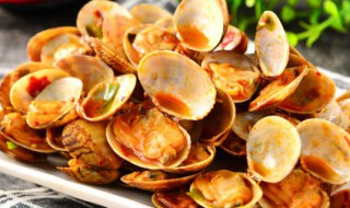 爆炒花甲要不要先煮下 爆炒花甲要先煮吗