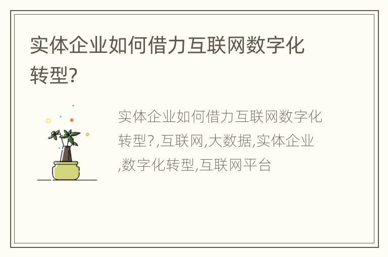 实体企业如何借力互联网数字化转型？