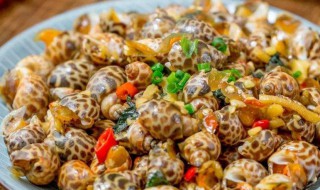 爆炒花螺 爆炒花螺如何做美味好吃