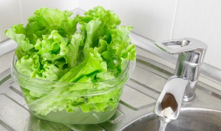 爆炒圆生菜 爆炒圆生菜的做法