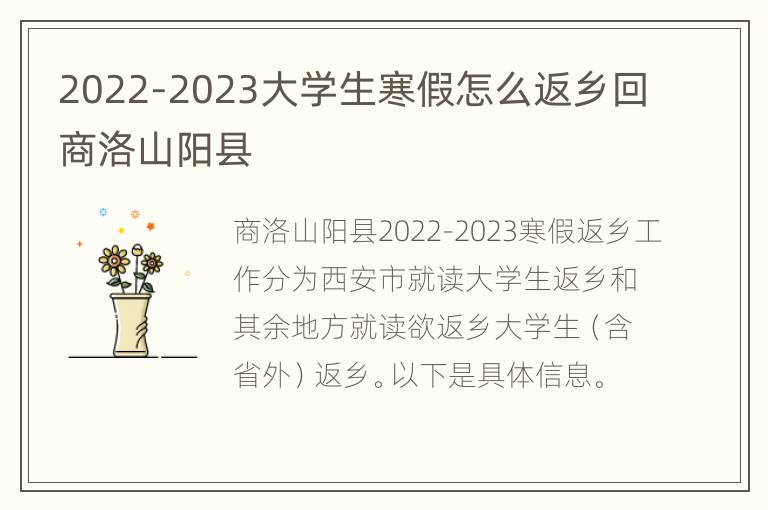 2022-2023大学生寒假怎么返乡回商洛山阳县