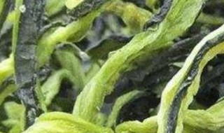 干菜怎样晒干制作 干菜如何晒干制作