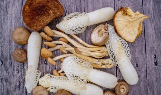 茶树菇放久了还可以吃吗