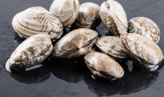 爆炒花蛤 如何做爆炒花蛤