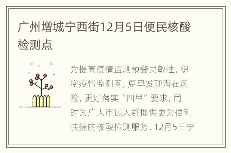 广州增城宁西街12月5日便民核酸检测点