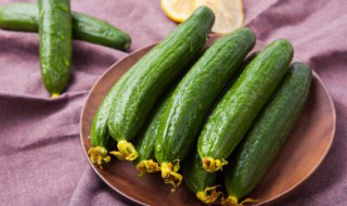 老旱黄瓜怎样晒干制作方法 老旱黄瓜如何晒干