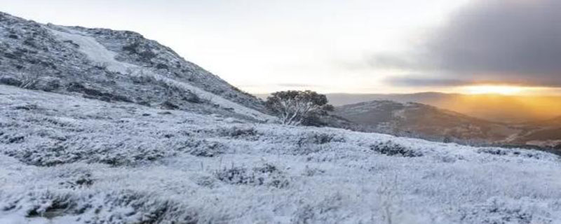 澳大利亚冬天下雪吗