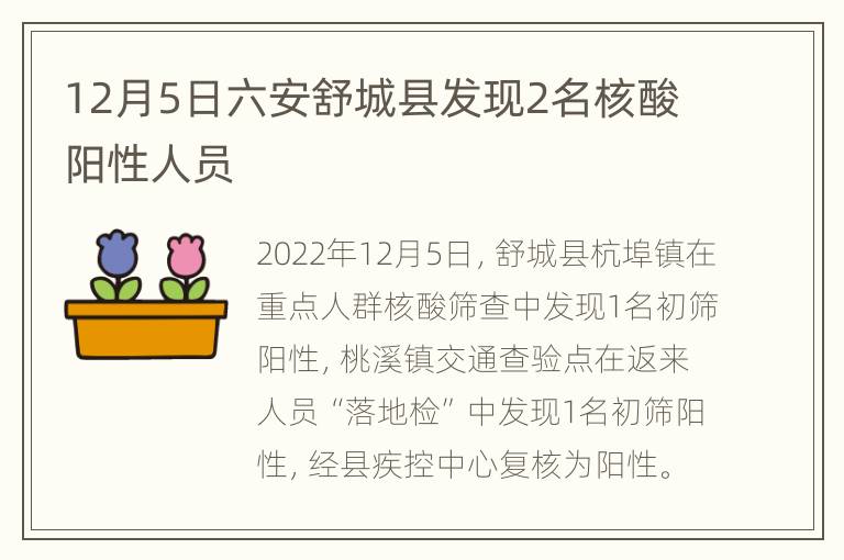 12月5日六安舒城县发现2名核酸阳性人员