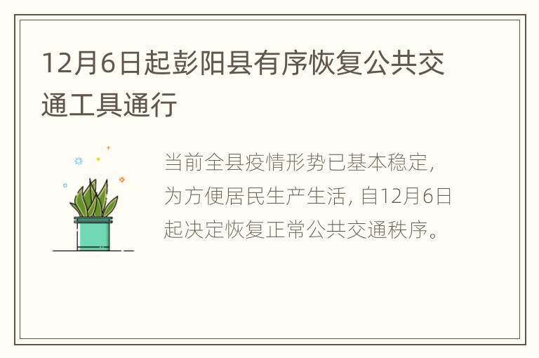 12月6日起彭阳县有序恢复公共交通工具通行