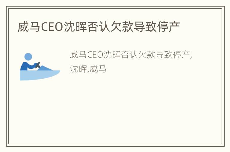 威马CEO沈晖否认欠款导致停产