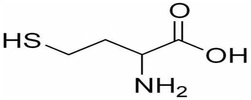 含硫氨基酸包括哪些