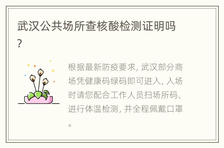 武汉公共场所查核酸检测证明吗？