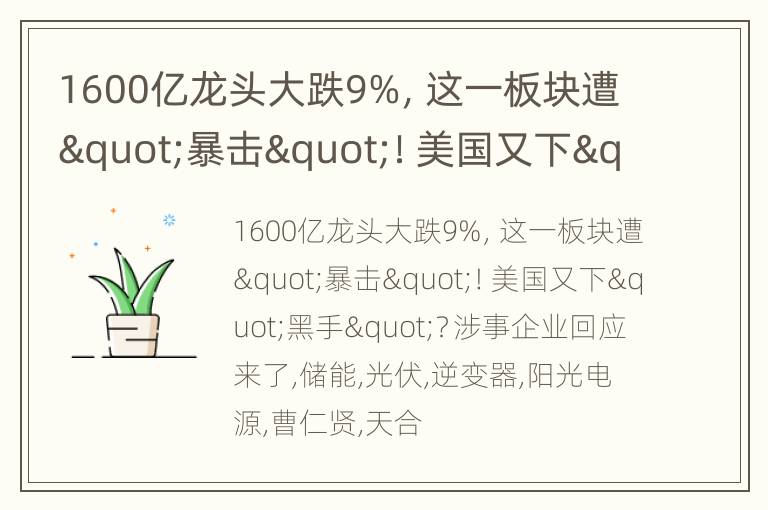 1600亿龙头大跌9%，这一板块遭"暴击"！美国又下"黑手"？涉事企业回应来了