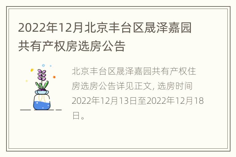 2022年12月北京丰台区晟泽嘉园共有产权房选房公告