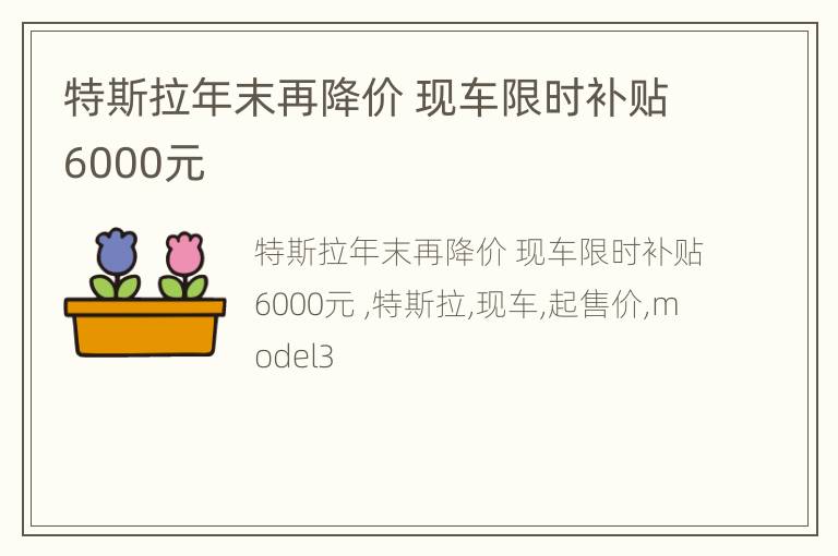 特斯拉年末再降价 现车限时补贴6000元