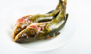 炖鱼汤用什么鱼 哪种鱼适合炖鱼汤