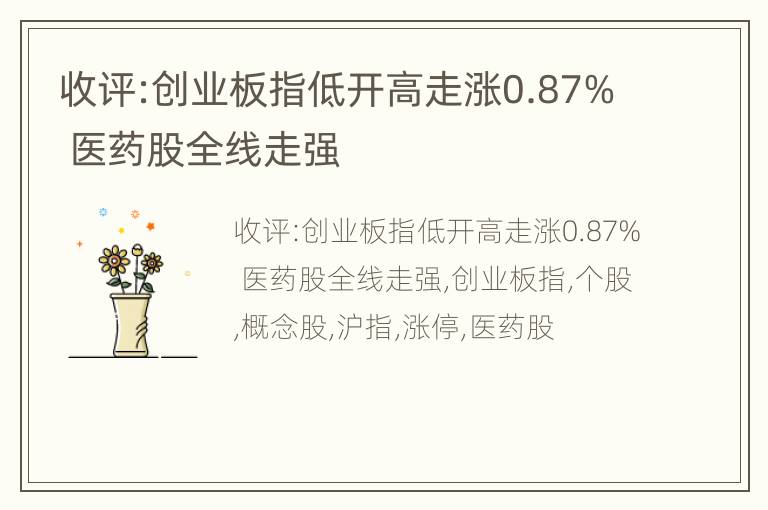 收评:创业板指低开高走涨0.87% 医药股全线走强