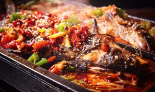 烤鱼可以用什么鱼 烤鱼可以用哪种鱼