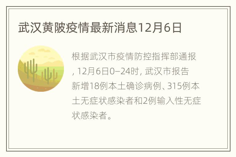 武汉黄陂疫情最新消息12月6日