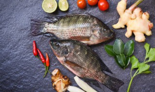 酸菜鱼用什么鱼好吃 做酸菜鱼用什么鱼最好