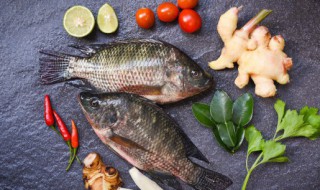 酸菜鱼用什么鱼好 酸菜鱼用哪种鱼好吃